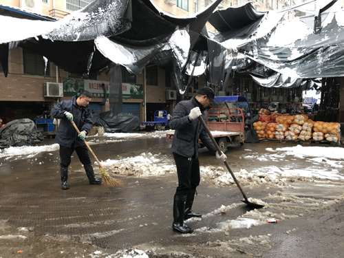 瓜沥社开展雪抗冻工作1.jpg