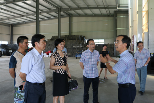 省供销社副主任张悦调研.jpg 省供销社副主任张悦调研.jpg